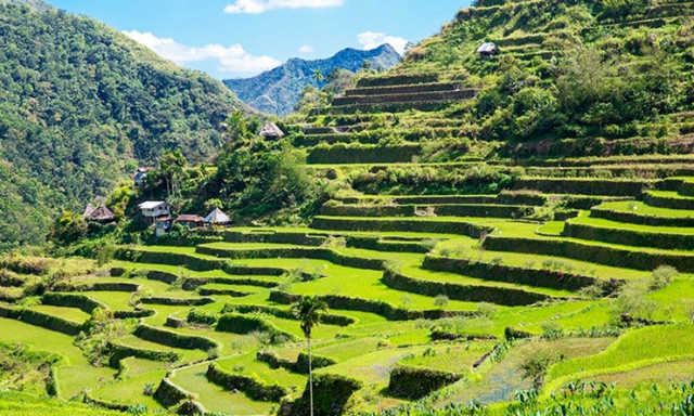 tugue9-rice-terraces-and-village-in-the-philippinines-20161110-013808.jpg